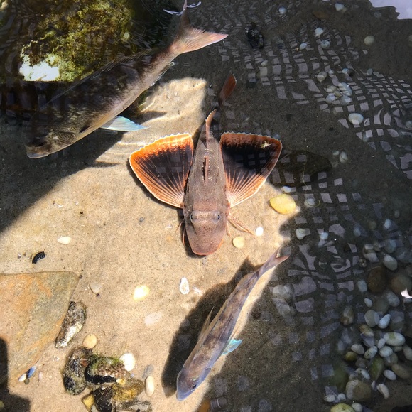 Meet your Posher, Angela 🦋🌊🦋🌊🦋🌊🦋 - Picture 15 of 16